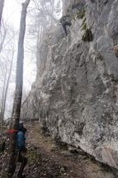 Klik za večjo sliko