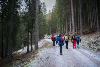 Klik za večjo sliko