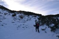 Klik za večjo sliko