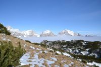 Klik za večjo sliko