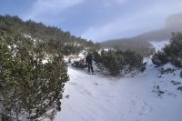 Klik za večjo sliko