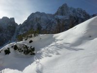 Klik za večjo sliko