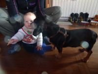 Klik za večjo sliko