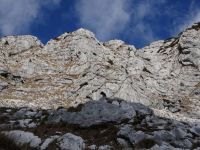 Klik za večjo sliko