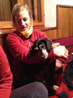 Klik za večjo sliko