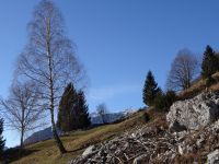 Klik za večjo sliko