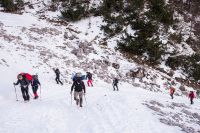 Klik za večjo sliko