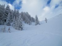 Klik za večjo sliko