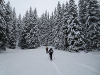 Klik za večjo sliko