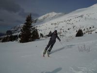 Klik za večjo sliko