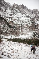 Klik za večjo sliko