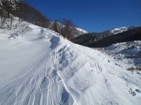 Klik za večjo sliko