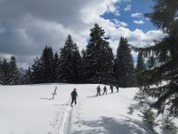 Klik za večjo sliko