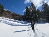 Klik za večjo sliko