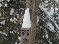 Klik za večjo sliko