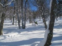 Klik za večjo sliko