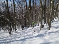 Klik za večjo sliko