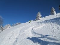 Klik za večjo sliko