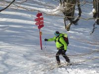 Klik za večjo sliko