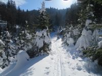 Klik za večjo sliko