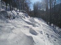 Klik za večjo sliko