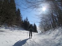 Klik za večjo sliko