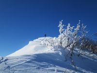 Klik za večjo sliko