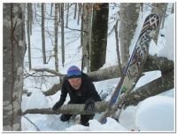 Klik za večjo sliko