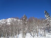 Klik za večjo sliko