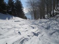 Klik za večjo sliko