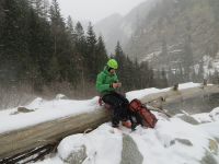 Klik za večjo sliko