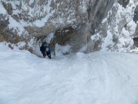 Klik za večjo sliko