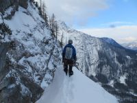 Klik za večjo sliko