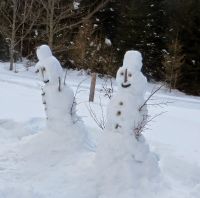 Klik za večjo sliko