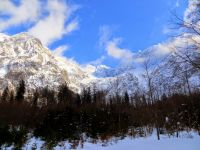 Klik za večjo sliko