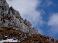 Klik za večjo sliko