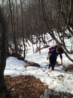 Klik za večjo sliko