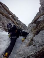 Klik za večjo sliko