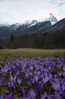 Klik za večjo sliko