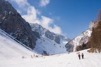 Klik za večjo sliko