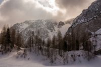 Klik za večjo sliko