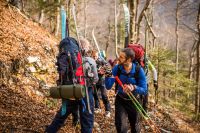 Klik za večjo sliko