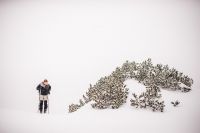 Klik za večjo sliko