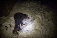 Klik za večjo sliko