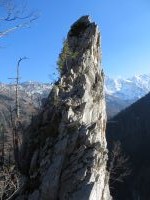 Klik za večjo sliko