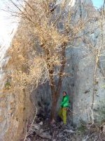 Klik za večjo sliko