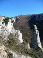 Klik za večjo sliko