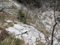 Klik za večjo sliko