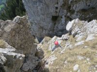 Klik za večjo sliko