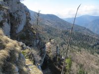 Klik za večjo sliko